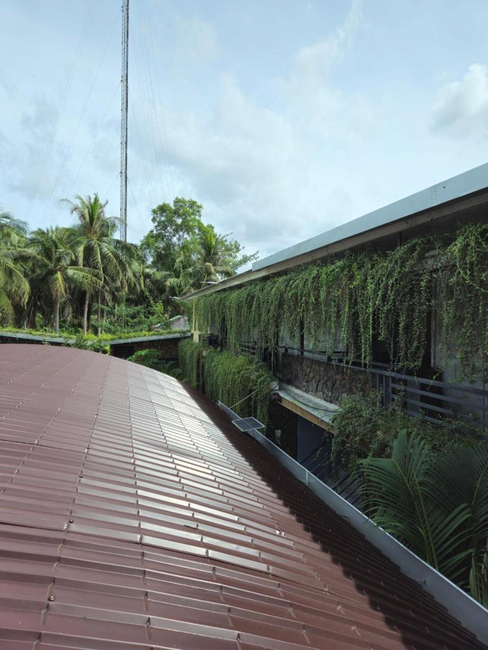 Homestay Bao Binh Ben Tre Экстерьер фото