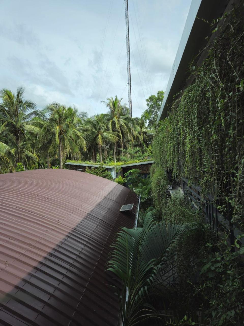 Homestay Bao Binh Ben Tre Экстерьер фото