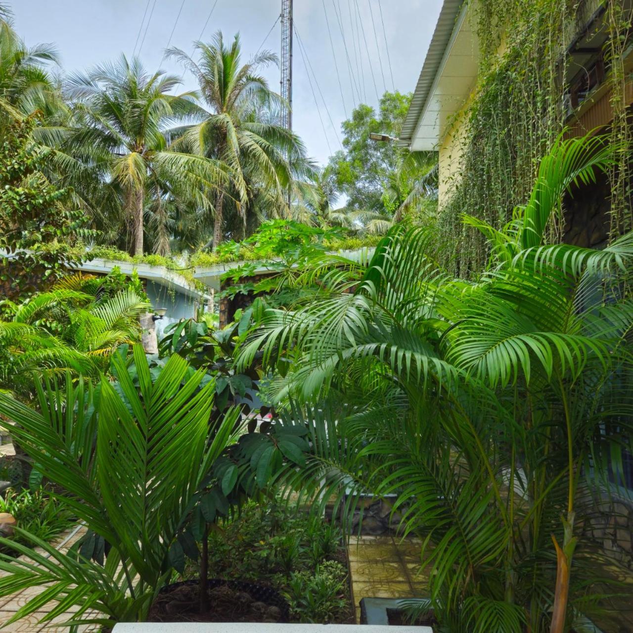 Homestay Bao Binh Ben Tre Экстерьер фото