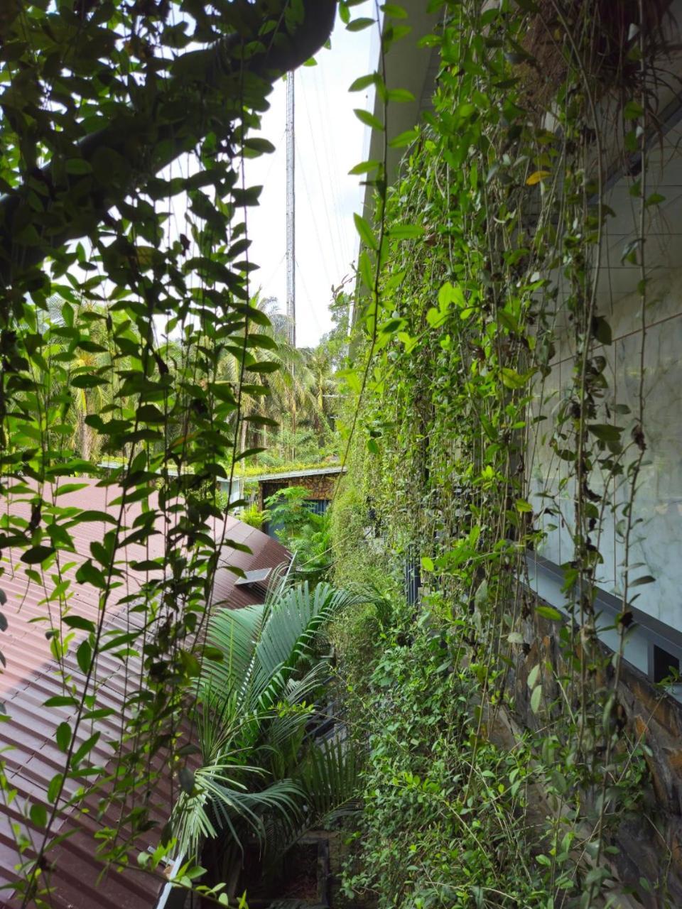 Homestay Bao Binh Ben Tre Экстерьер фото