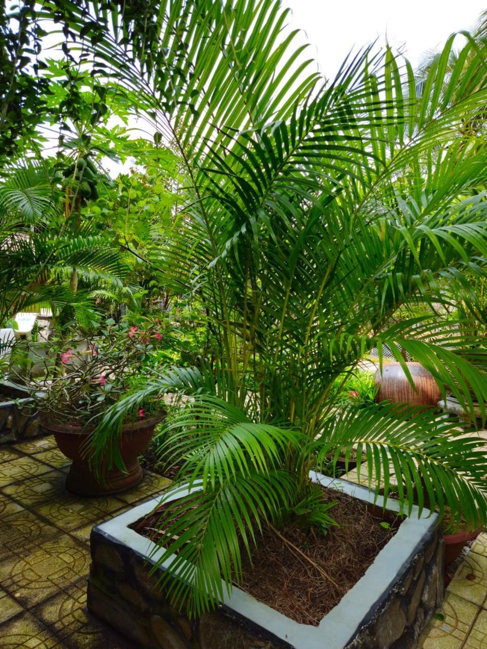 Homestay Bao Binh Ben Tre Экстерьер фото